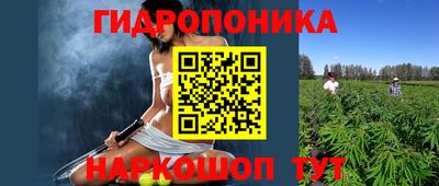 ПСИЛОЦИБИНОВЫЕ ГРИБЫ Вязники