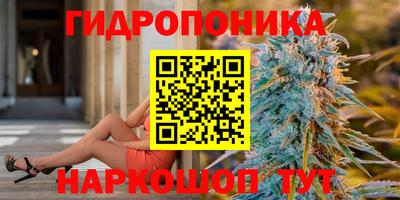 скорость Вязьма
