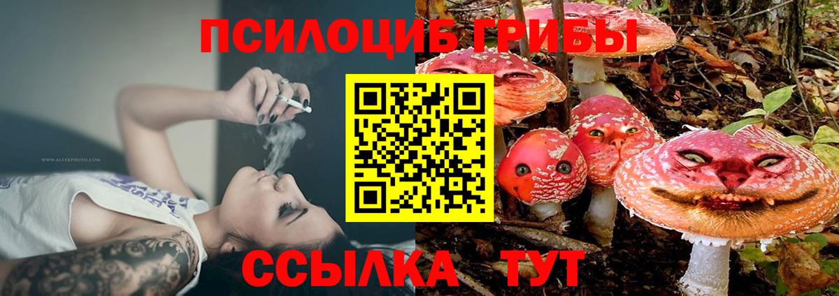 Псилоцибиновые грибы MAGIC MUSHROOMS  Вход с VPN  Псилоцибиновые грибы Psilocybine cubensis  Ливны 